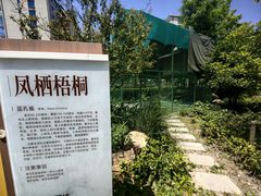 -梧桐人家中国太平国际健康颐养社区