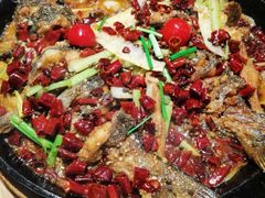 -老板恋上鱼(印象城店)