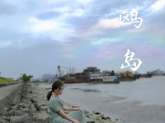 -海鸥岛