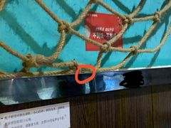 -阪尚皇·原切牛排·烤肉火锅自助(北京路店)