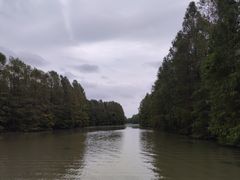 -上海海湾国家森林公园