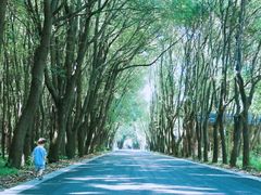 -同里国家湿地公园