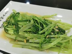 豆酱炒空心菜-潮州菜馆(十里河店)