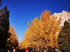 -辽宁大学(崇山校区)