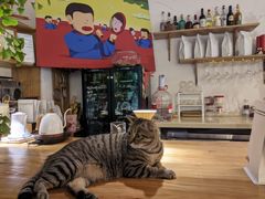 -栖咖啡(泉舜店)