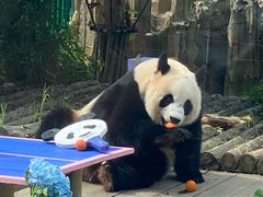 -大连森林动物园