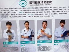 -谐和益家动物医院·免疫绝育·血液透析·宠保定点医院(高新伊藤分院)