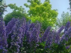 -西安电影制片厂