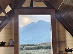 -龙坞茶村