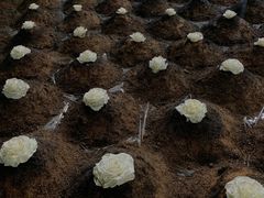 -成都许燎源现代设计艺术博物馆