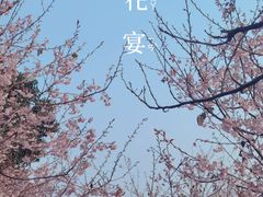 -南山植物园