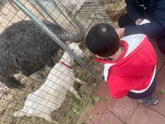 -厦门悦华酒店