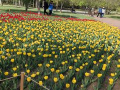 -长春公园(普阳街道)