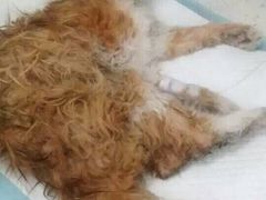 盛京一禾-盛京一禾