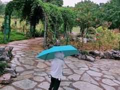 -东莞植物园