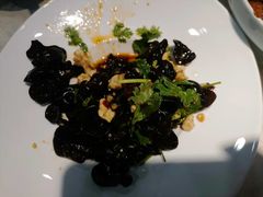 -洞庭家宴·头牌甲鱼(广渠门店)