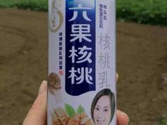 六果核桃-南沙十九涌渔人码头-南门