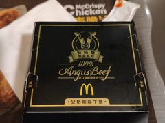 -麦当劳(新洲南路店)