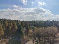 -捞渔河湿地公园