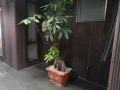 -阿伟海鲜楼·福建菜(涵江店)