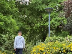 -长广溪湿地公园