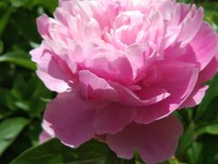 -狼山风景名胜区