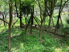 -黔灵山公园