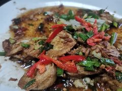 -金砂阿洲鱼册店
