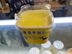 -雪露酸奶