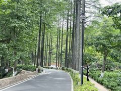 -莫干山风景区