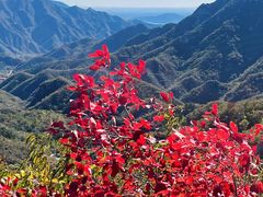 -大岭沟猕猴桃谷风景区