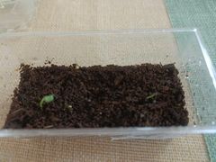 -世纪飞马幼儿园(西城校区)