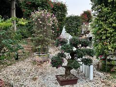 -东莞植物园
