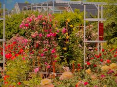 -国家植物园南园