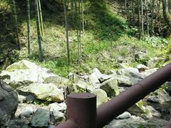 -藏龙百瀑风景区