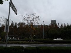 -华东政法大学(松江校区)