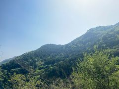 -北京西山国家森林公园