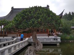 -南普公园