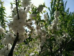 android_upload_pic-紫竹院公园冰场