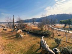 -西峡恐龙遗迹园