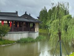 -江心屿景区
