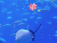 -成都浩海立方海洋公园