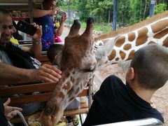 -清迈夜间动物园