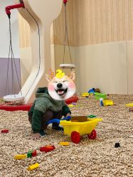 -酷乐思儿童主题乐园(海印又一城奥特莱斯广场店)