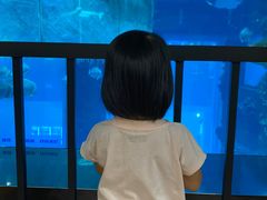 -乐从天佑城海洋馆