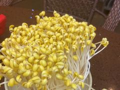-巴倒烫陆派火锅山庄(南山总店)