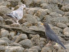 -苏州河梦清园环保主题公园