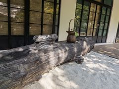 -T館·花园艺术餐厅