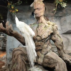 -Zoolung Zoolung动物主题公园(海信广场店)