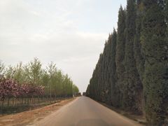 -汉景帝阳陵博物院